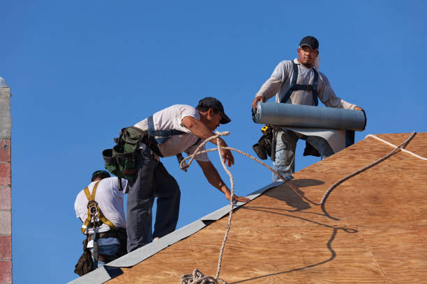 Best Roof Gutter Cleaning  in Manchester, GA