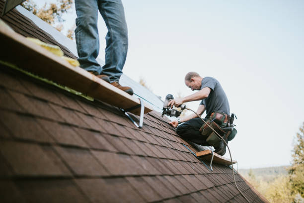Best Storm Damage Roof Repair  in Manchester, GA